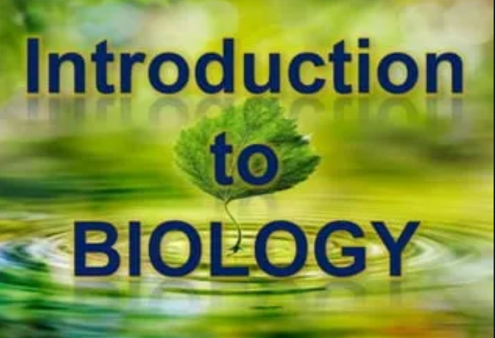 Introduction to Biology: Life and Its Characteristics