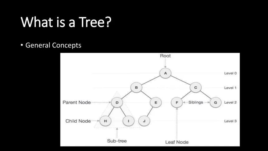 Introduction to Tree Data Structure