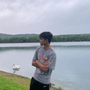 Saketh I’m an 18-year-old B.Sc. student at Christ Univers