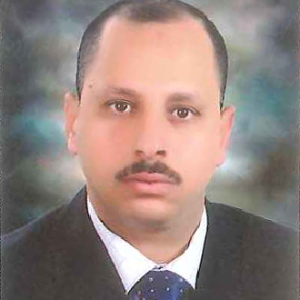 Hassan Professor